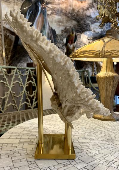 Rare and important white coral on it brass base France circa 1970