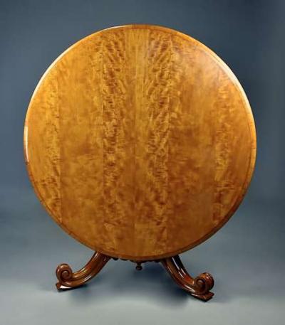 Rare mid 19th century satin birch tilt top breakfast table
