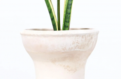 Raul Coronel Raul Coronel Ceramic Planter for Architectural Pottery