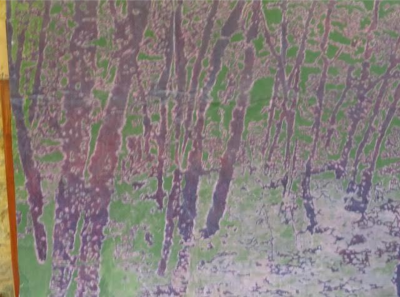 Raymond Galle Untitled lanscape no 10 2008