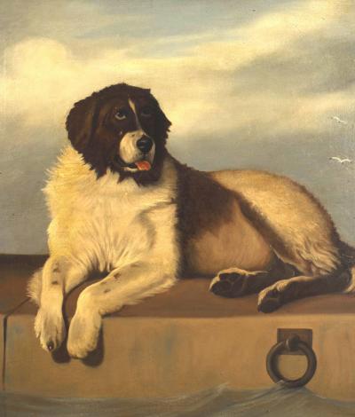 Reclining Dog Oil Painting