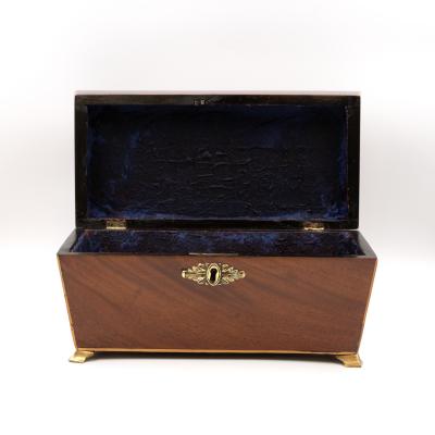 Regency Mahogany Box with Satinwood Edging and Brass Basket Pull