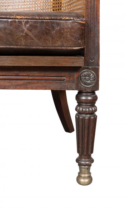 Regency Mahogany Caned Tub Chair