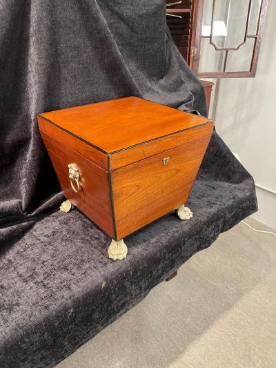 Regency Mahogany Cellaret