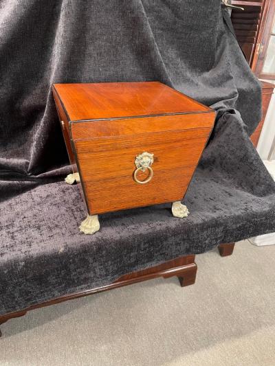 Regency Mahogany Cellaret