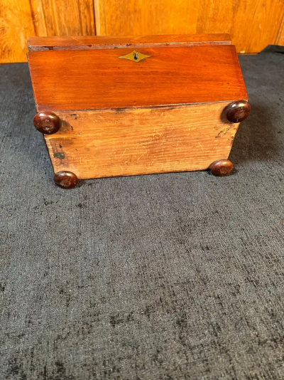 Regency Mahogany Sarcophagus form Tea Caddy