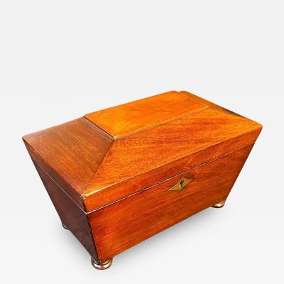 Regency Mahogany Sarcophagus form Tea Caddy