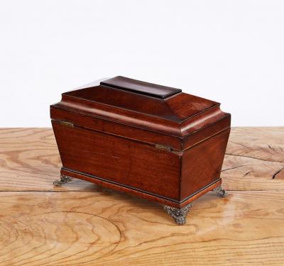 Regency Mahogany Tea Caddy
