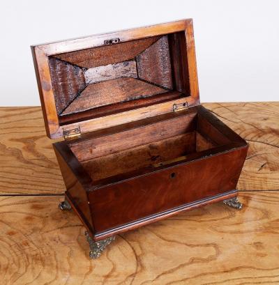 Regency Mahogany Tea Caddy