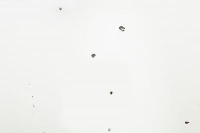 Regency Period Gilded Pier Mirror with Lion s Mask early 19th century