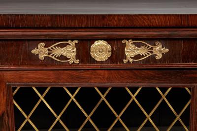 Regency Rosewood Low Bookcase