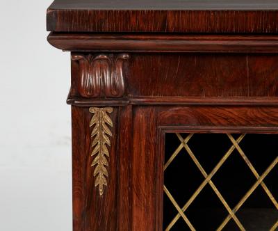 Regency Rosewood Low Bookcase
