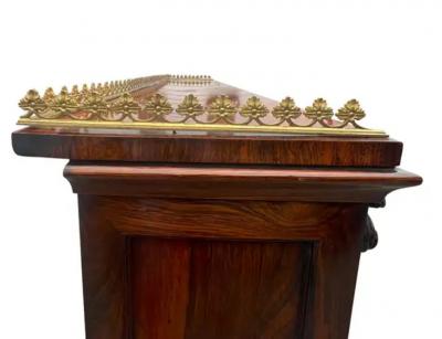 Regency Rosewood Open Bookcase