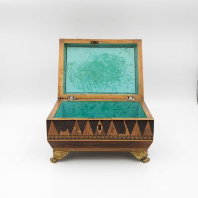 Regency Rosewood Specimen Box on Gilt Lion Paw Feet Circa 1810