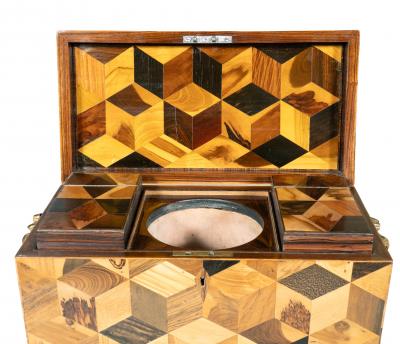 Regency Specimen Wood Parquetry Tea Caddy