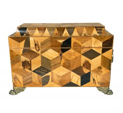 Regency Specimen Wood Parquetry Tea Caddy