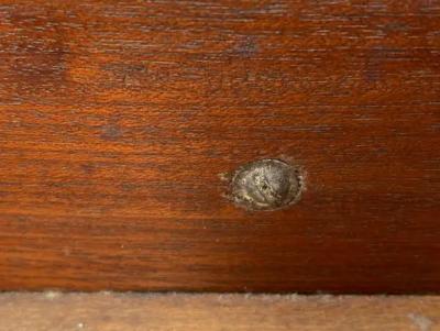 Regency Style Mahogany Canterbury
