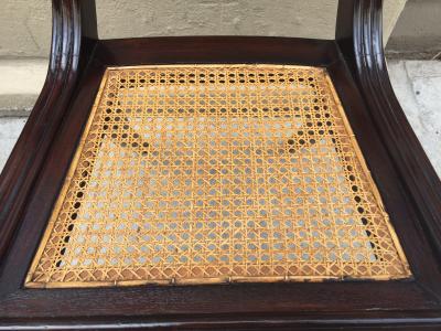 Regency Style Mahogany Dining Chairs