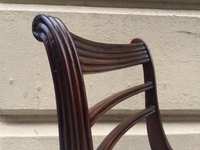 Regency Style Mahogany Dining Chairs