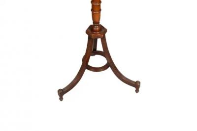 Regency Style Mahogany Fern Stand