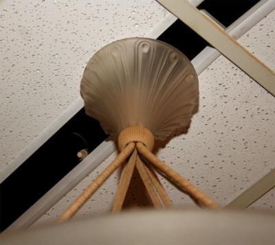 Ren Lalique Chandelier Ronces 