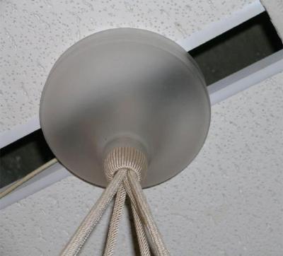 Ren Lalique Eglantines Chandelier