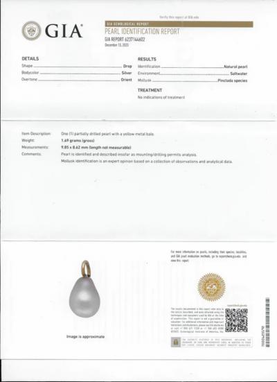 Ren Lalique Lalique Co Ren Lalique Plique jour Enamel and Natural Pearl Breton Lion and Seaweed