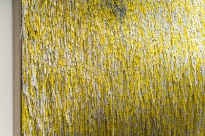 Renata Schirm Renata Schirm Dawn FI 2022