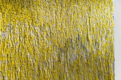 Renata Schirm Renata Schirm Dawn FI 2022