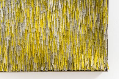 Renata Schirm Renata Schirm Dawn FI 2022