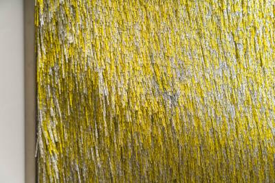 Renata Schirm Renata Schirm Dawn FI 2022