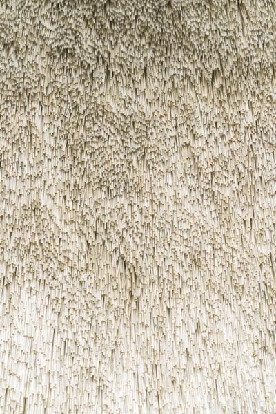 Renata Schirm Renata Schirm Daylight FI 2019