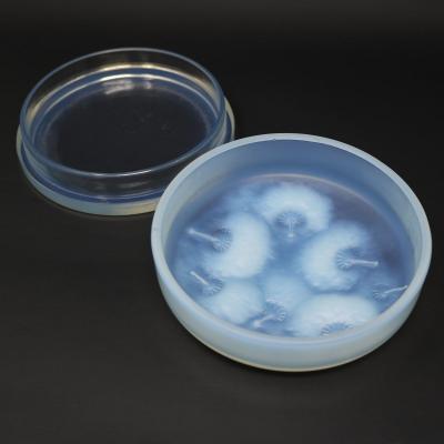 Rene Lalique Opalescent Glass Houppes Box