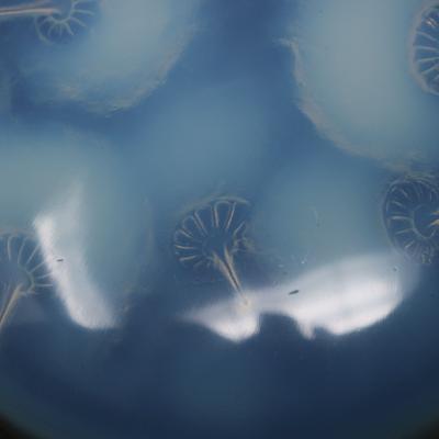 Rene Lalique Opalescent Glass Houppes Box