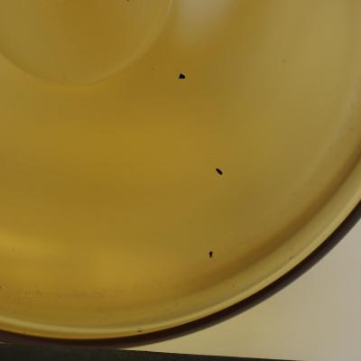 Rene Lalique Yellow Amber Glass Marienthal Decanter