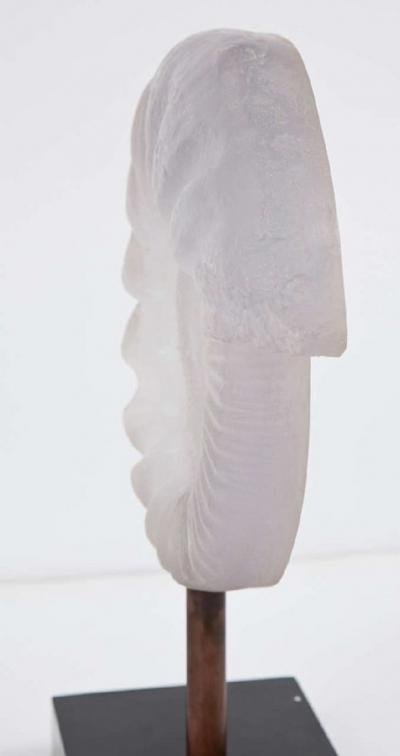 Resin ammonite sculpture