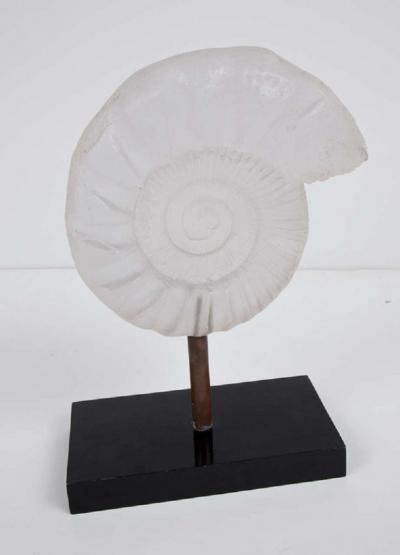 Resin ammonite sculpture