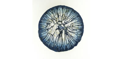 Reza Derakshani Early Morning Sensation 2022