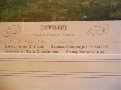 Richard Stone Reeves Thoroughbred Ribot Limited Edition Print by Richard Stone Reeves