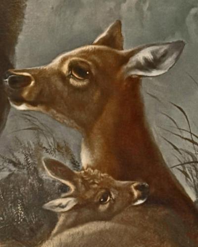 Robert Cleminson Oil on Canvas Painting by Robert Cleminson Royal Stag Hind and Fawn