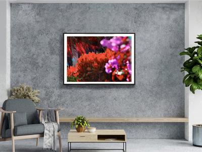 Robert Funk Street Art by the Rich Naples Hedges Abstraction