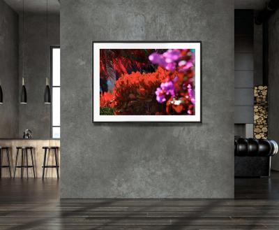 Robert Funk Street Art by the Rich Naples Hedges Abstraction