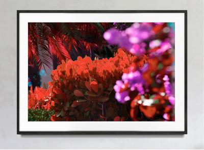 Robert Funk Street Art by the Rich Naples Hedges Abstraction