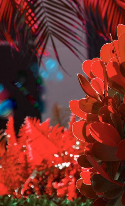 Robert Funk Street Art by the Rich Naples Hedges Abstraction