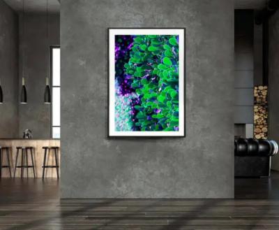 Robert Funk The Green Leaves of Palm Beach Street Art by the Rich