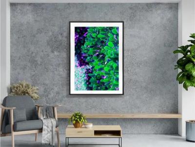 Robert Funk The Green Leaves of Palm Beach Street Art by the Rich