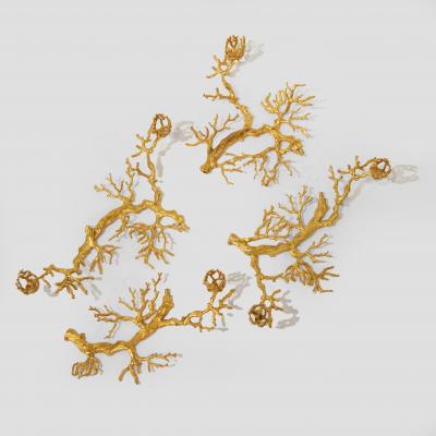 Robert Goossens Coral Centerpiece
