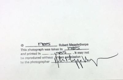 Robert Mapplethorpe Bill T Jones