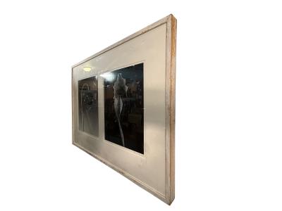 Robert Mapplethorpe EROTIC SURREALIST BLACK WHITE FLOWER PHOTOGRAPHS MANNER OF ROBERT MAPPLETHORPE