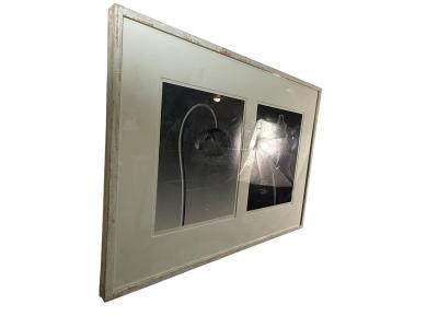 Robert Mapplethorpe EROTIC SURREALIST BLACK WHITE FLOWER PHOTOGRAPHS MANNER OF ROBERT MAPPLETHORPE